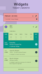 Everyday Calendar Widget 4