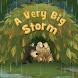 A Very Big Storm