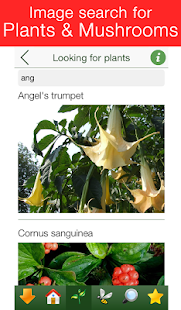 Poisoning - First Aid for Chlidren - náhled