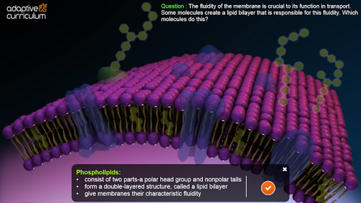 The Cell Membrane