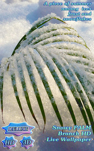 Snowy Tender Winter Palm HD