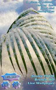 Snowy Christmas Tender Palm - náhled