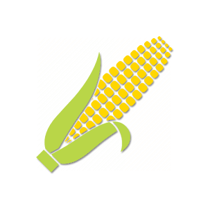 Corn Recipes.apk 1.01