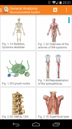 【免費醫療App】Sobotta Anatomy Atlas-APP點子