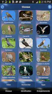 Chants d’oiseaux automatique(圖2)-速報App