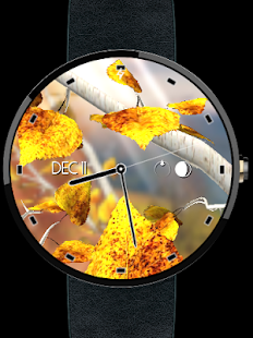 Autumn Tree Watch Face(圖4)-速報App