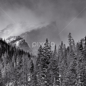 Hallett Peak RMNP by Johnny Gomez - Black & White Landscapes