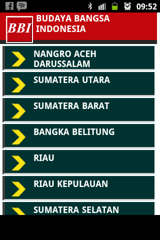 Budaya Bangsa Indonesia