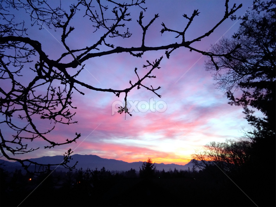 Lavender Sunset by Rebecca Horst - Landscapes Sunsets & Sunrises