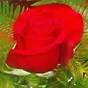 Valentine Day Poems logo