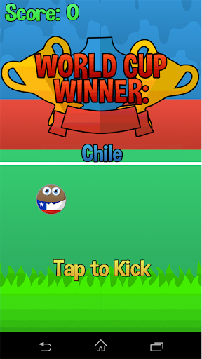 Flappy Cup Winner Chile