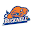Bison Rec Download on Windows