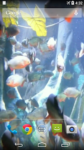 Aquarium Video Live Wallpaper(圖3)-速報App