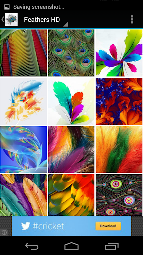 【免費個人化App】Feathers Of Birds HD Wallpaper-APP點子