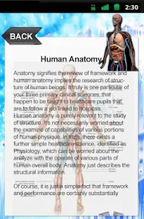 Human Anatomy Atlas