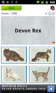 Cat Quiz Screenshots 1