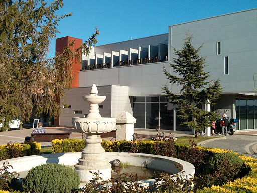 Centro Cultural Los Hueros