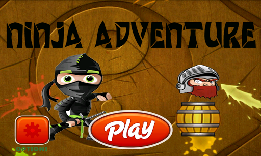 Ninja Adventure