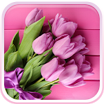 Pink Tulips Live Wallpaper Apk