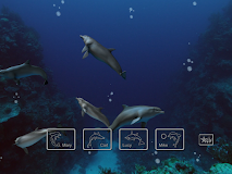EON Dolphin Delights