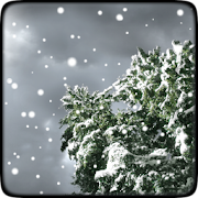 Winter Snowfall Live Wallpaper