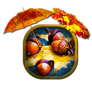 Autumn Rain Live Wallpapers 1.0