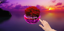 Sunset tree wallpaper APK