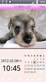 こいぬカレンダー (子犬カレンダー)