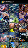Fish Wallpapers
