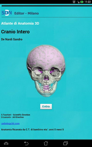 Cranio Intero