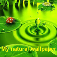 Natural wallpaper APK Icono