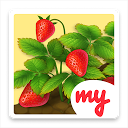 下载 Lucky Fields 安装 最新 APK 下载程序