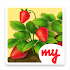 Lucky Fields1.0.45