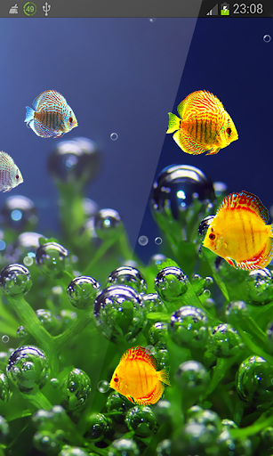 Tiny Fish Free Aquarium hd LWP