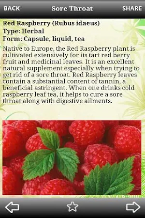 My Natural Healer v2.1