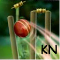 Cricket Launcher logo