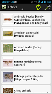 Palm Screening Aid Key(圖3)-速報App