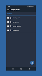 Encrypt Decrypt File Pro 4