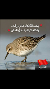 Lastest حكم عالمية مصورة APK for Android