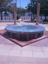 Bowl Fountain