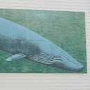 Blue Whale Mural