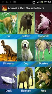 How to mod Animal + Bird Sound Effects 1.6 mod apk for pc