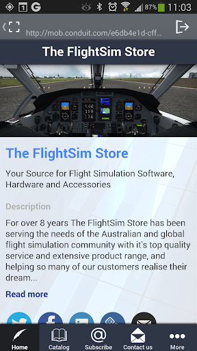 The FlightSim Store
