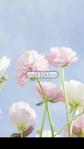 Sweet Flower Onet