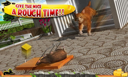 Crazy Cat vs. Mouse 3D poster 3
