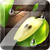 Fruit Slice1.4.5