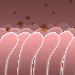 Biology Bytes - Transporters