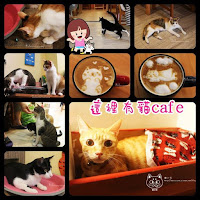 這裡有貓cafe (已歇業)