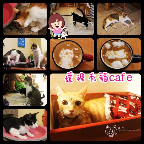 這裡有貓 輕食屋cafe(台中兩天一夜行程)