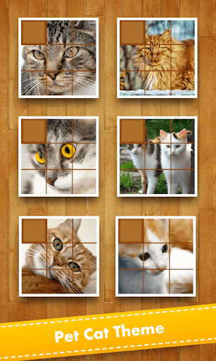 Puzzle Pet Cat